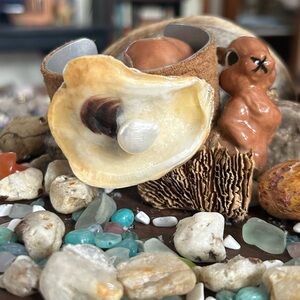 Vintage fabulous Bohemian beautiful leather shell bracelet